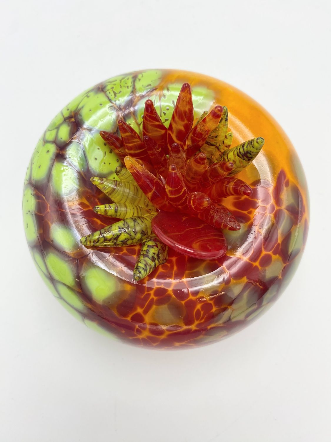 Terra Saxa in Curry, Strawberry, Spring and Spring Green