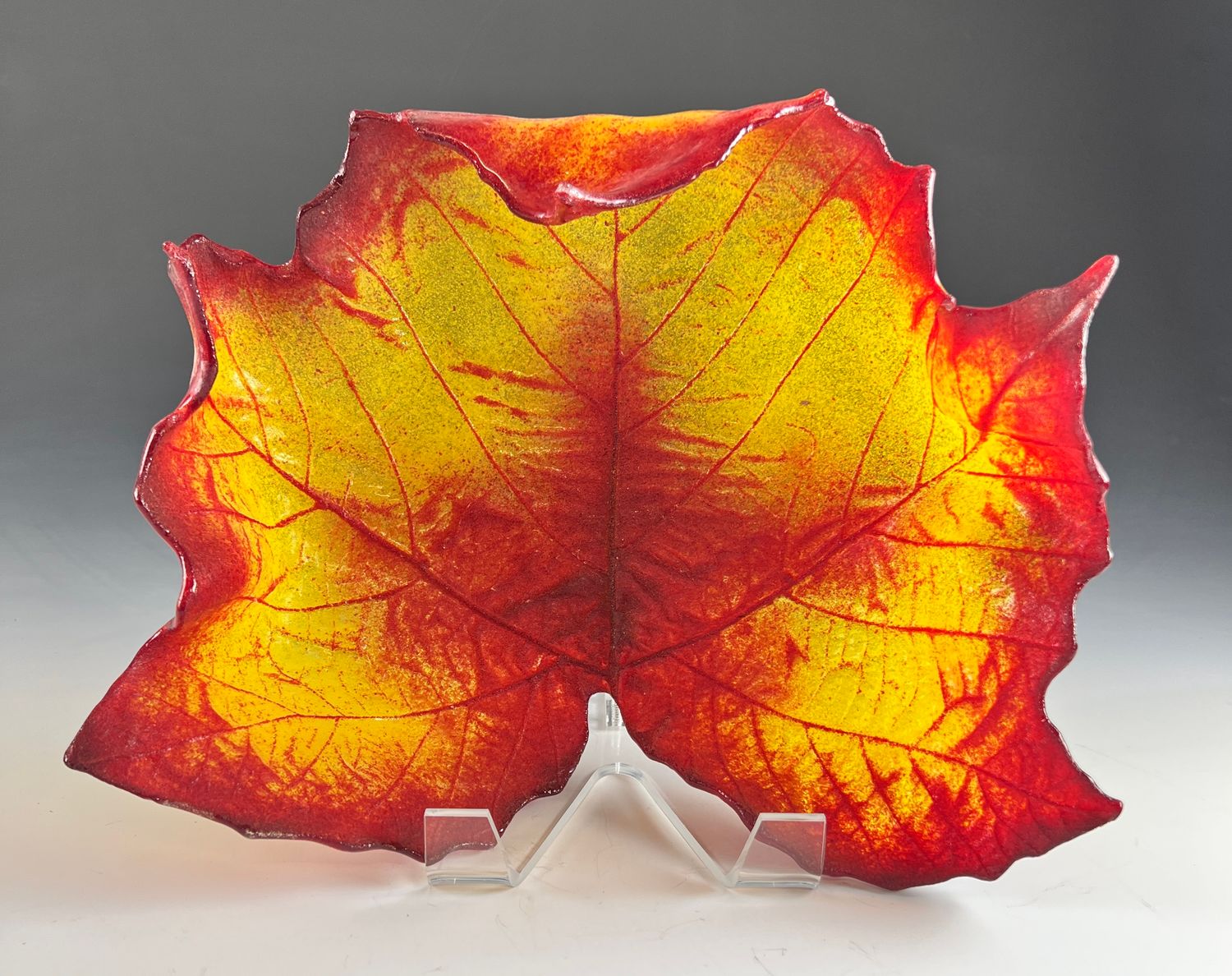 Large Sycamore Leaf