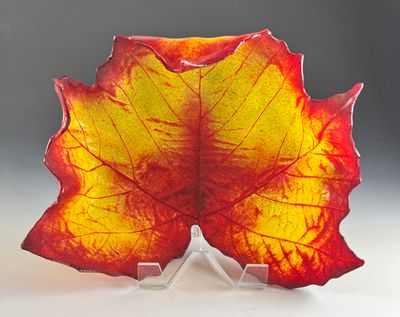 Large Sycamore Leaf