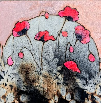 Poppies in the Mist