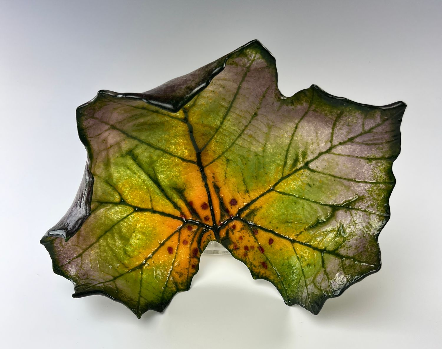 Medium Sycamore Leaf