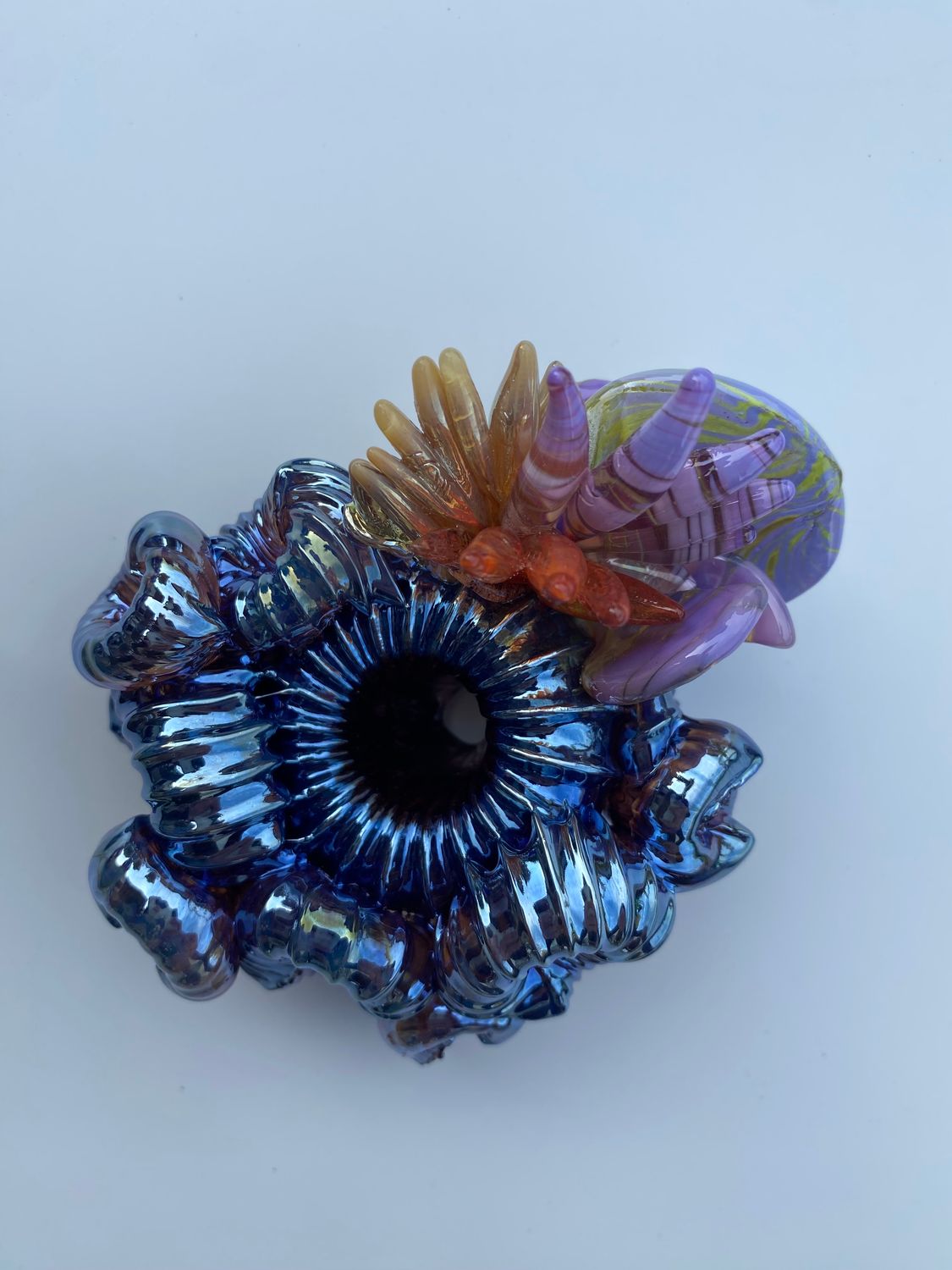 Oil Spill Cluster with Anemones