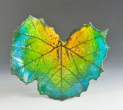 Medium Sycamore