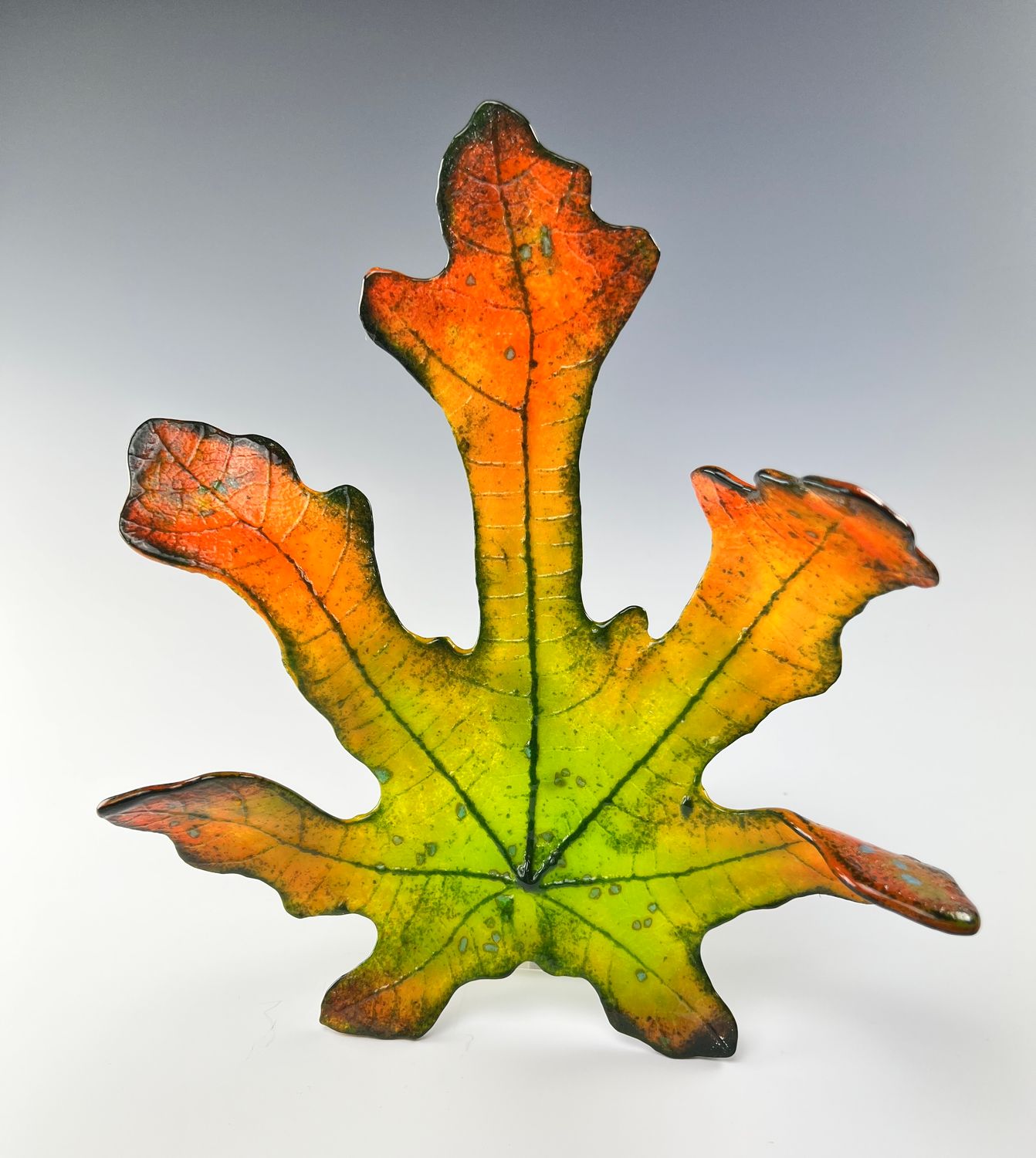 Medium Fig Leaf