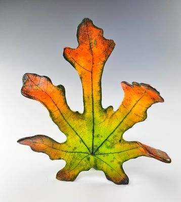 Medium Fig Leaf