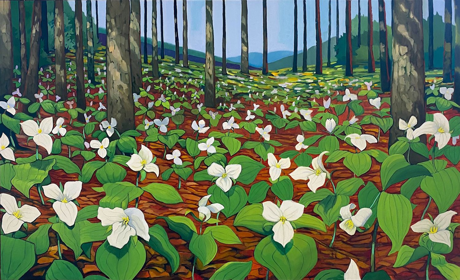 Blue Ridge Trilliums