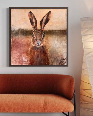 Hare Here