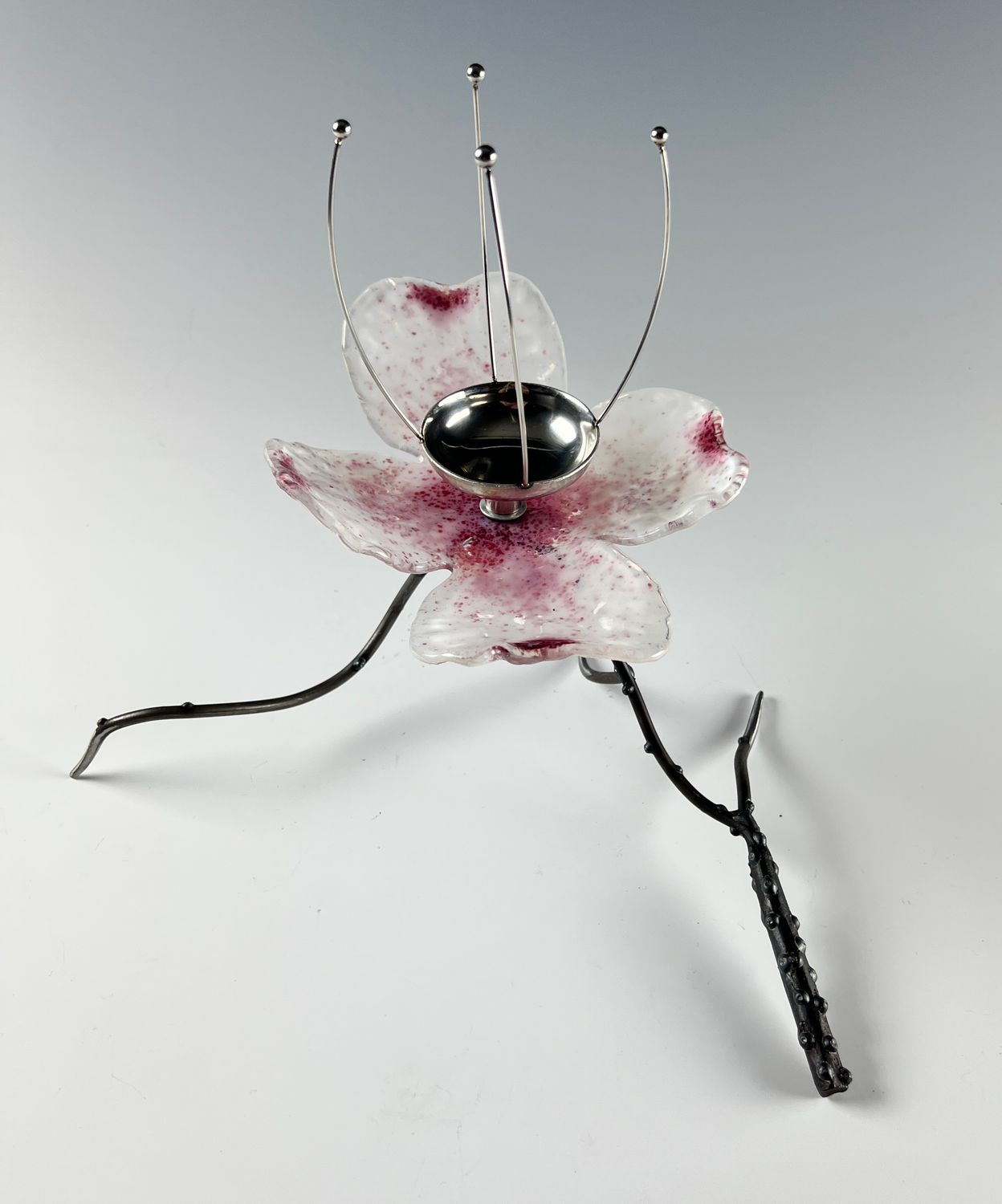 Appalachian Dogwood - Single (With Candle Cup)