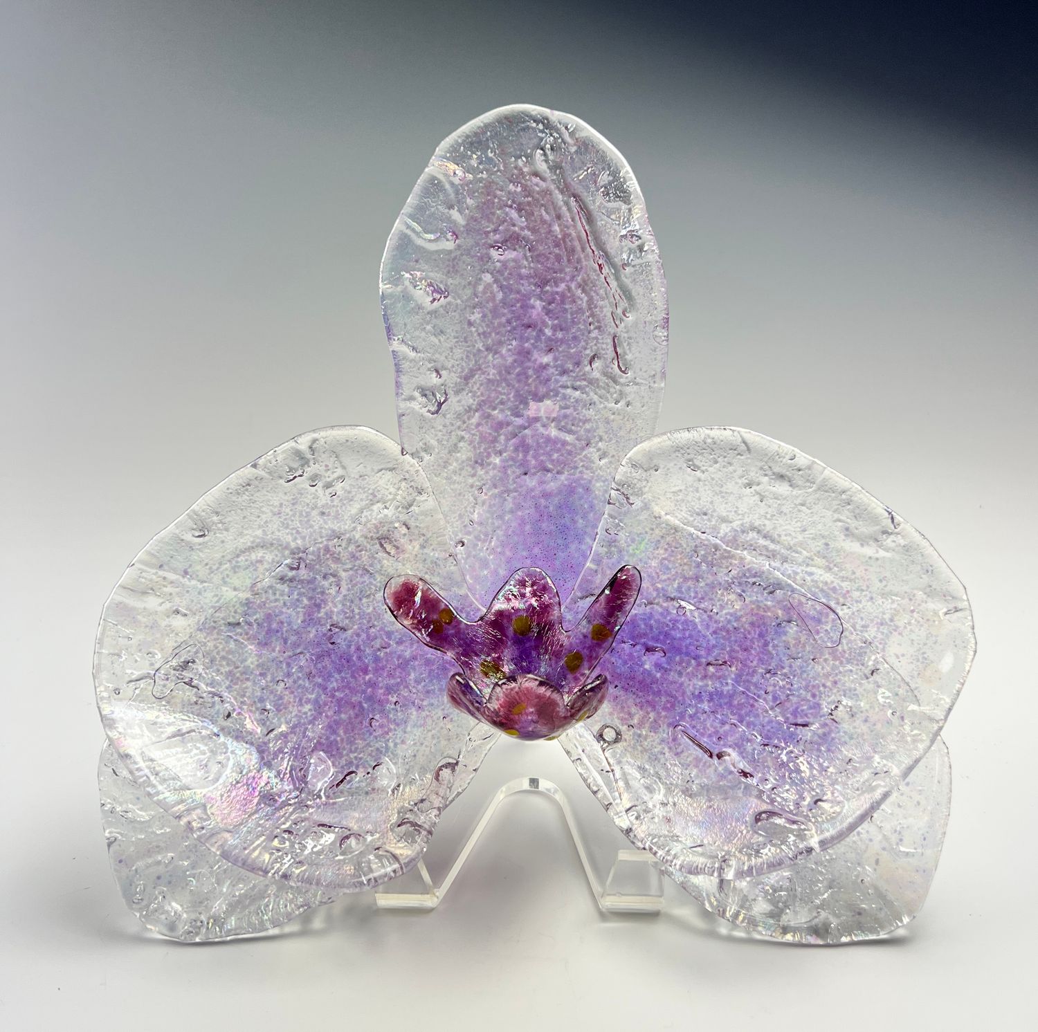 Orchid