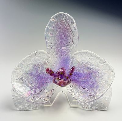 Orchid