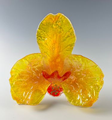 Orchid