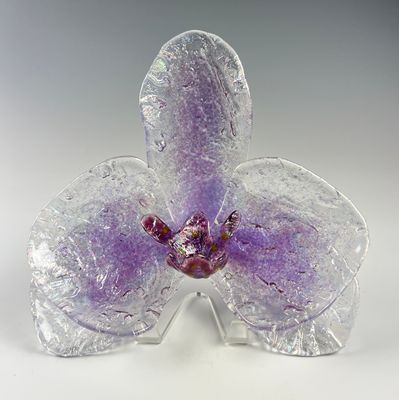 Orchid