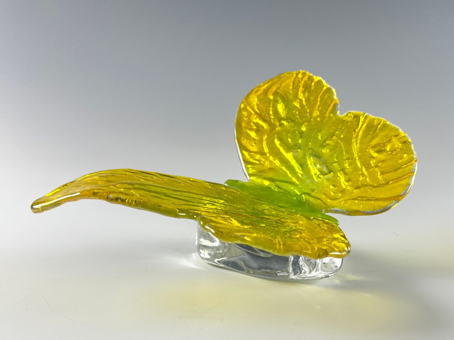 Glass Butterfly on Glass Stone