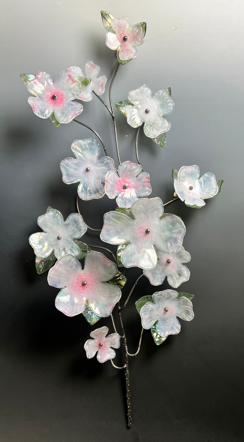 Appalachian Dogwoods #2