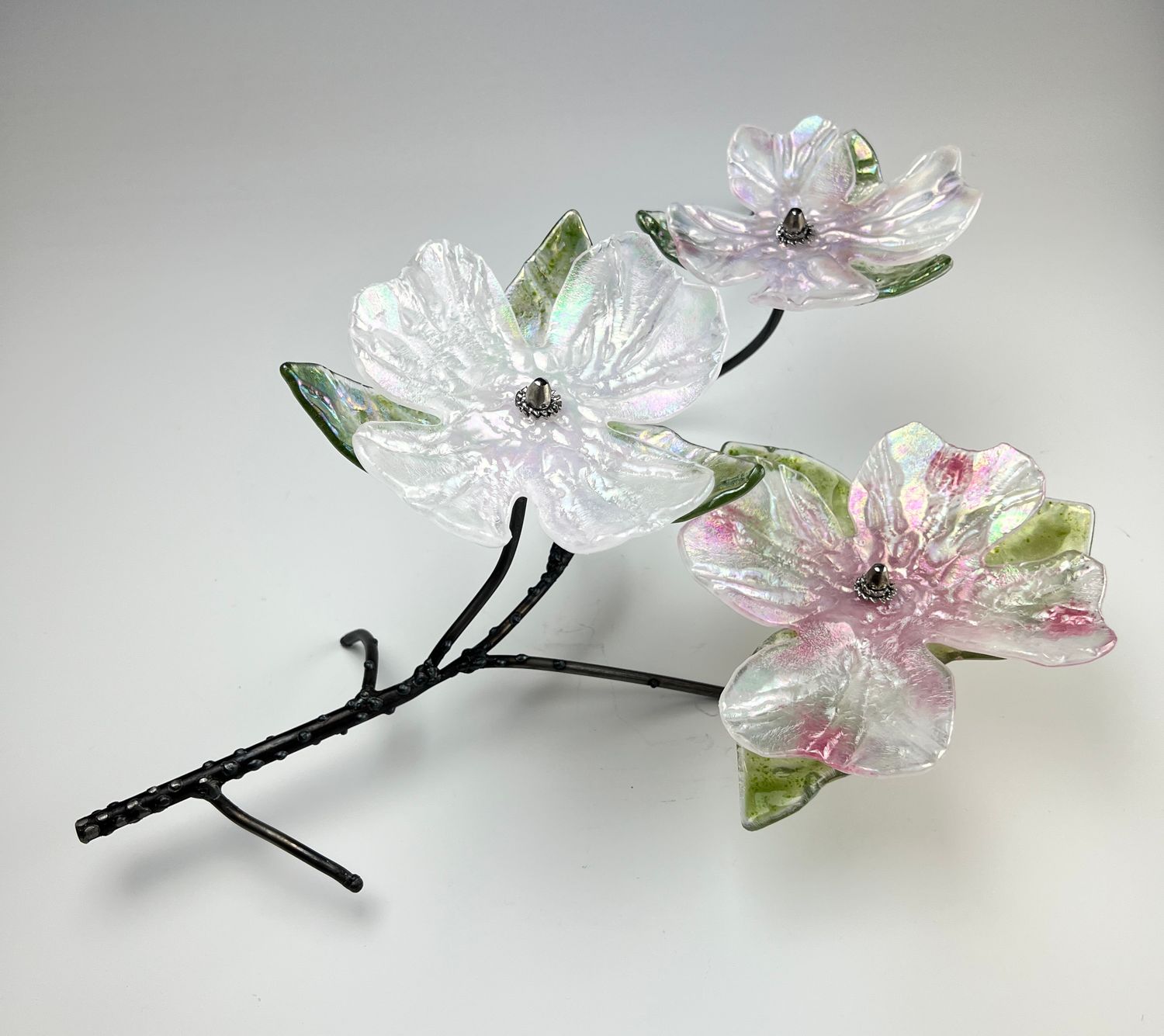 Triple Dogwood Blossom