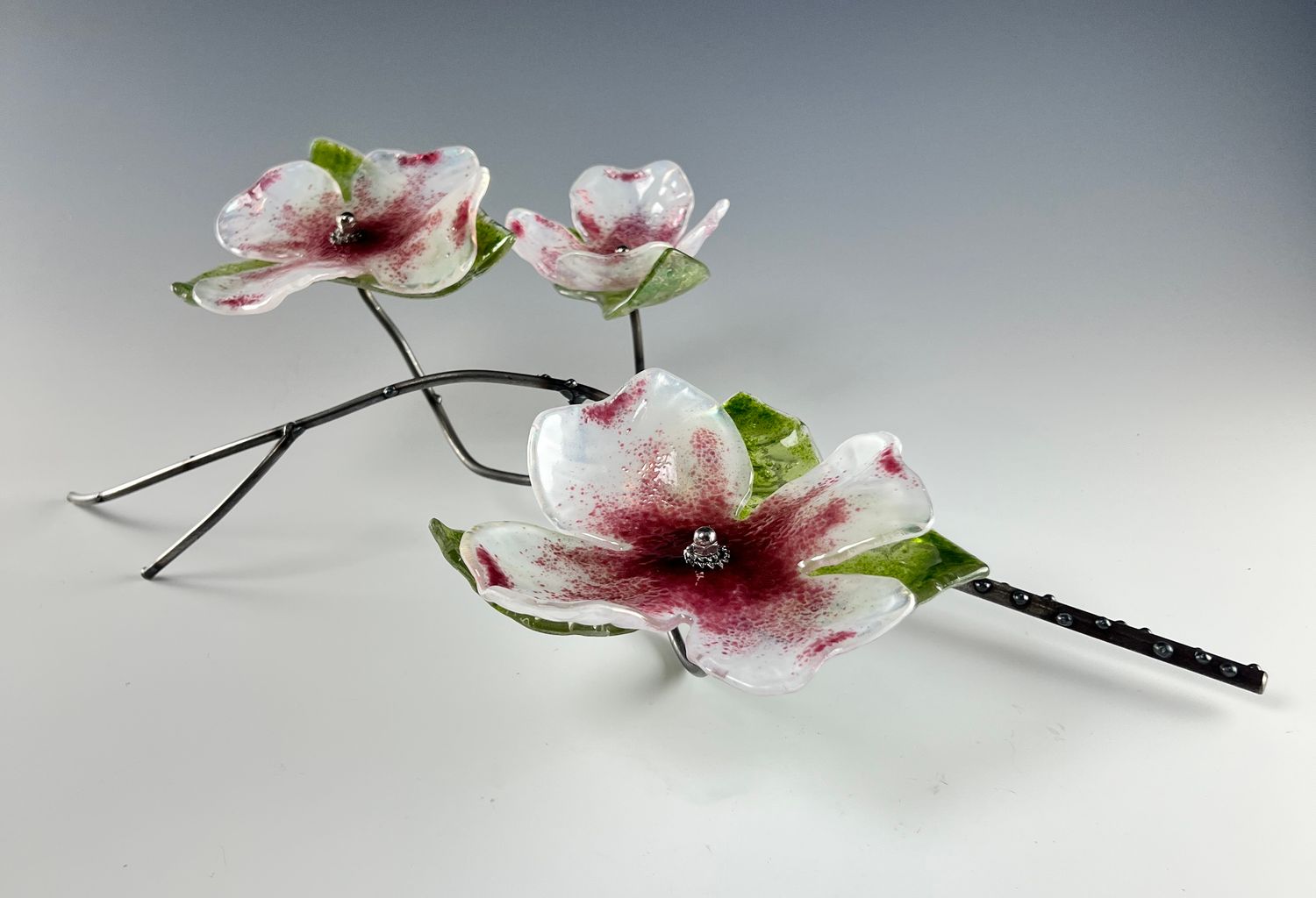 Triple Dogwoods