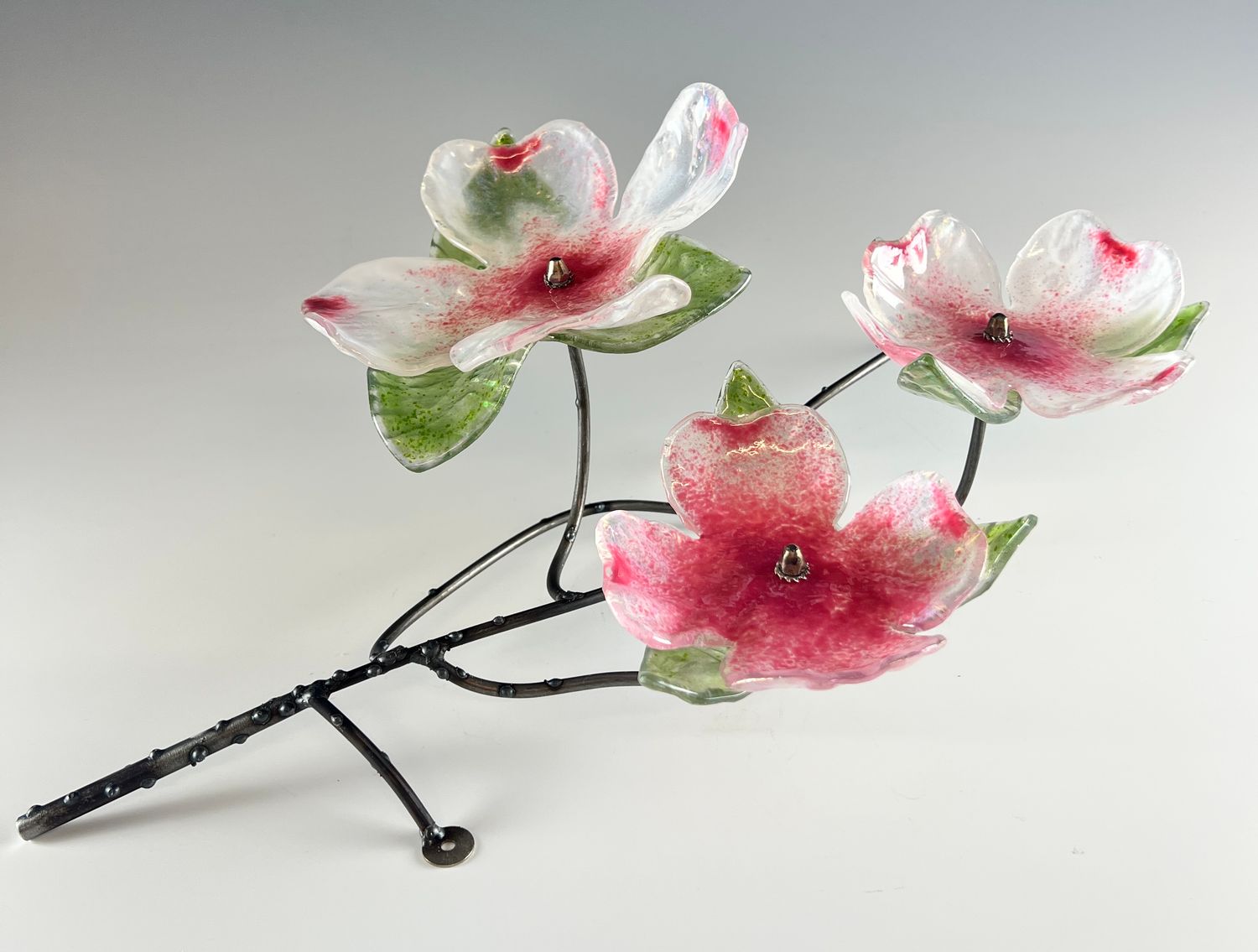 Appalachian Dogwoods