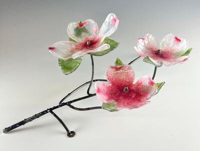 Appalachian Dogwoods