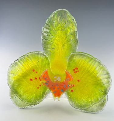 Orchid