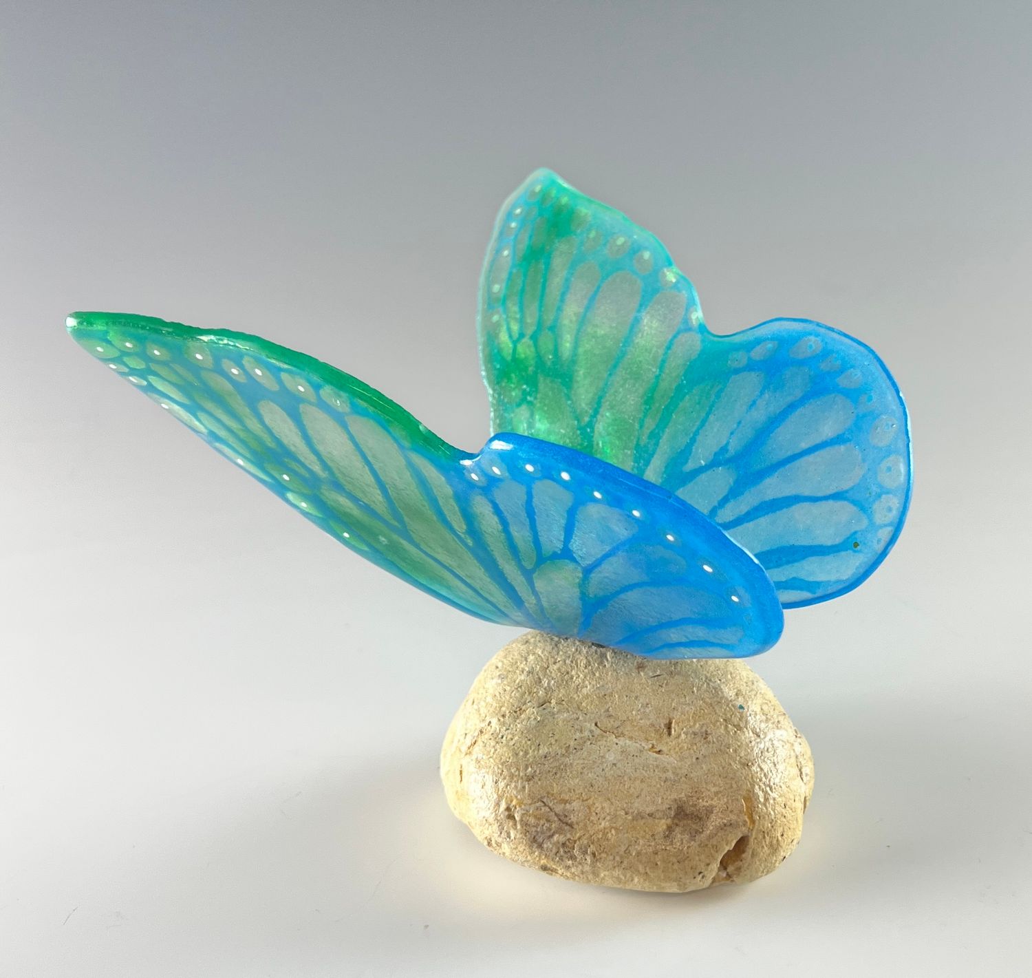 Butterfly on Stone