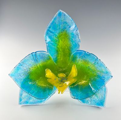 Orchid