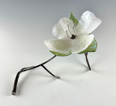 Single Dogwood