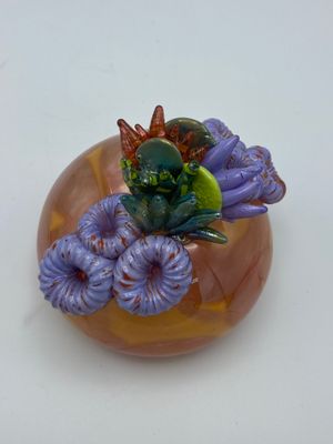 Cream Orange with Purple Rose Corals and Anemone