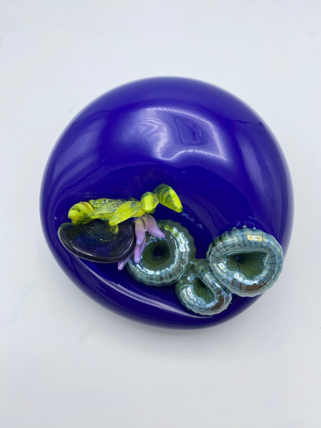 Cobalt Blue with Coral and Anemone