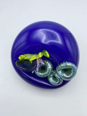 Cobalt Blue with Coral and Anemone