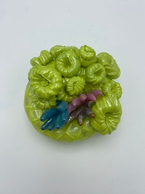 Spring Green Coral with Anemone Bits