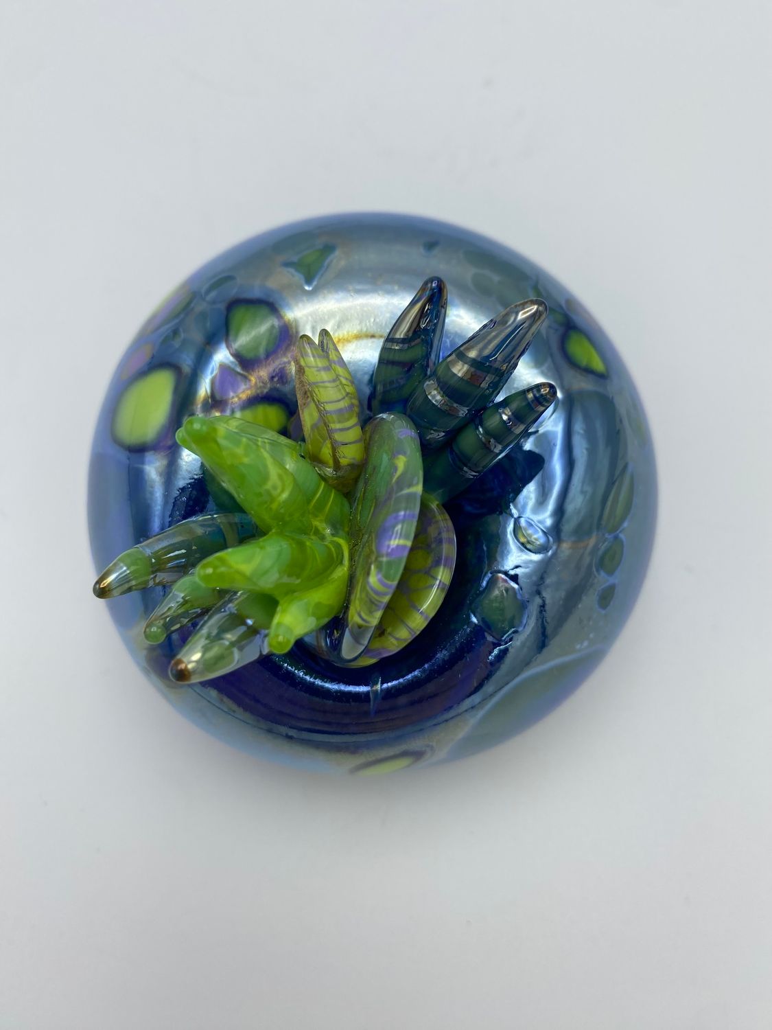 Silver Blue with Spots and Succulent Bits