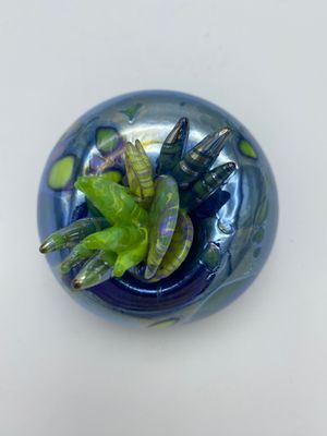 Silver Blue with Spots and Succulent Bits