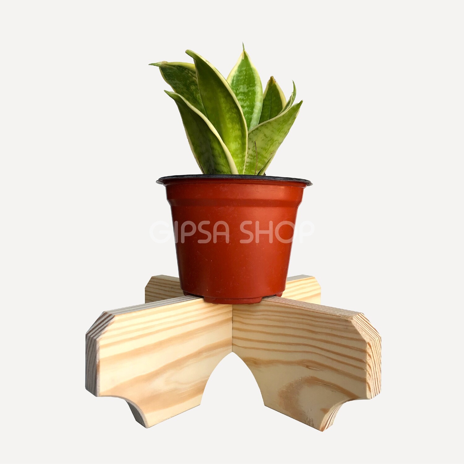Portamacetas &quot;Tulipán&quot;