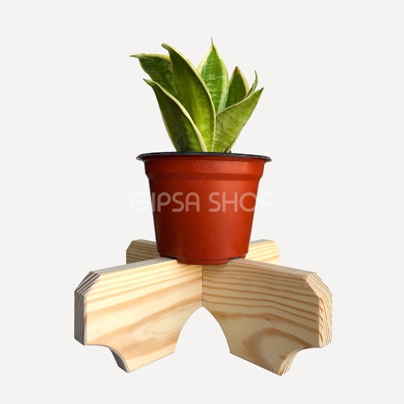 Portamacetas &quot;Tulipán&quot;