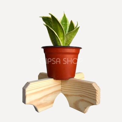 Portamacetas &quot;Tulipán&quot;