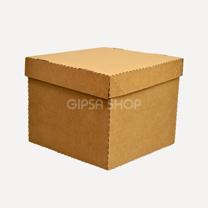 Kit 12 Cajas Magic Box Grande Kraft