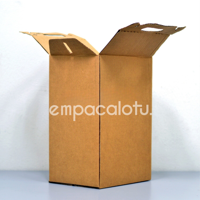 CAJA DE CARTÓN TIPO MALETÍN | VERTICAL | KIT C/12 PIEZAS
