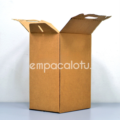 CAJA DE CARTÓN TIPO MALETÍN | VERTICAL | KIT C/12 PIEZAS