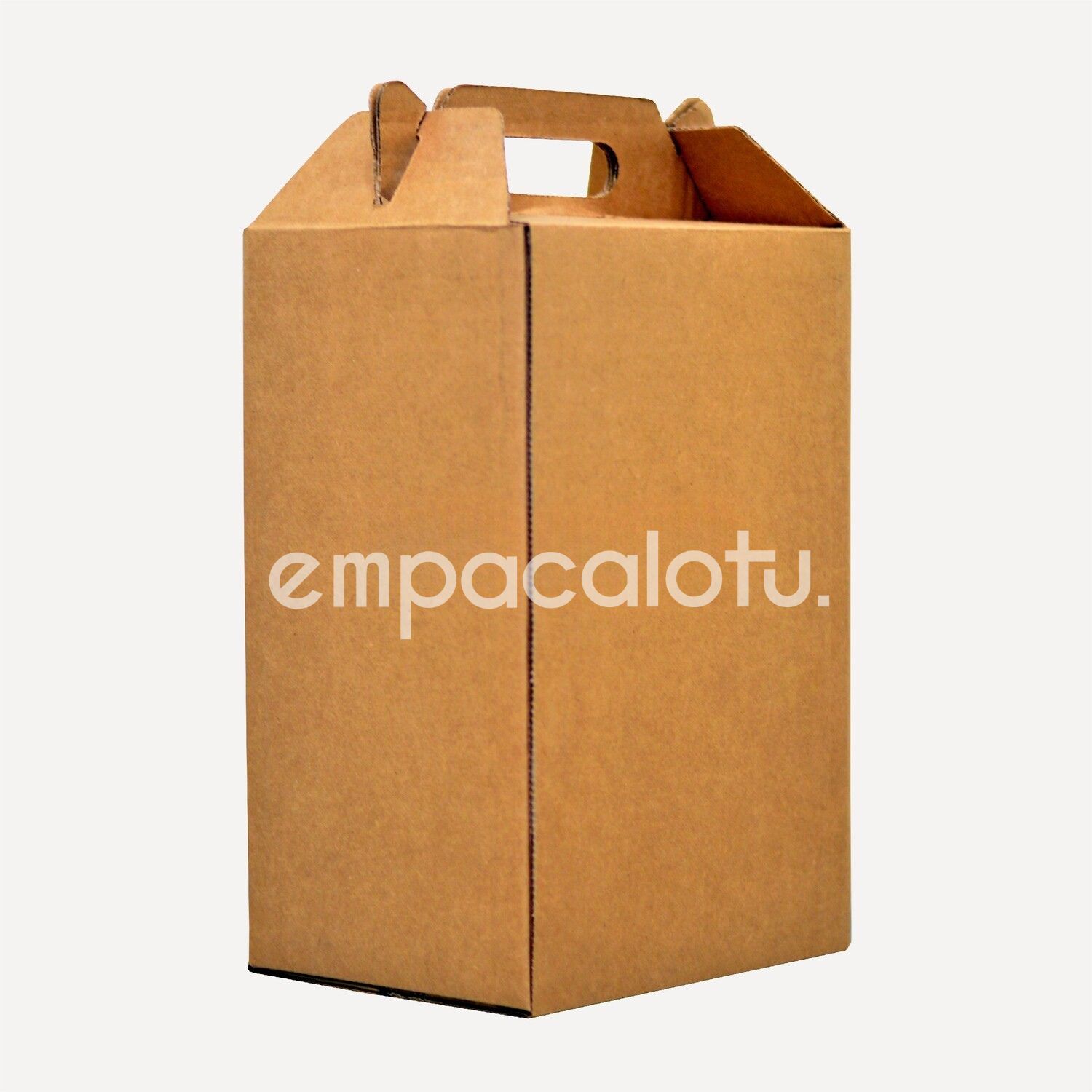 CAJA DE CARTÓN TIPO MALETÍN | VERTICAL | KIT C/12 PIEZAS