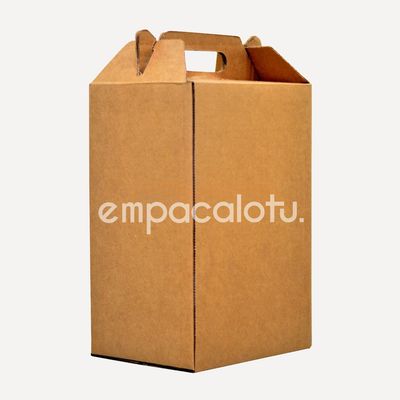 CAJA DE CARTÓN TIPO MALETÍN | VERTICAL | KIT C/12 PIEZAS