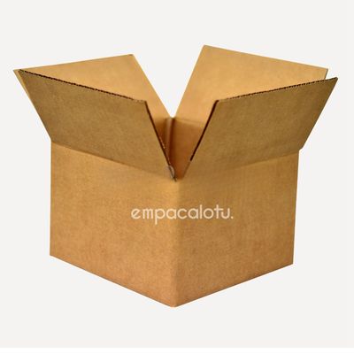 CAJA DE CARTÓN ESTÁNDAR | CON ALAS |20.9 x 20.4 x 13.6 cm | KIT C/12 PIEZAS