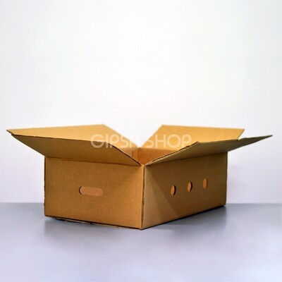 CAJA DE CARTÓN ESTÁNDAR | CON VENTILACIÓN |56 x 37 x 17.6 cm | KIT C/12 PIEZAS
