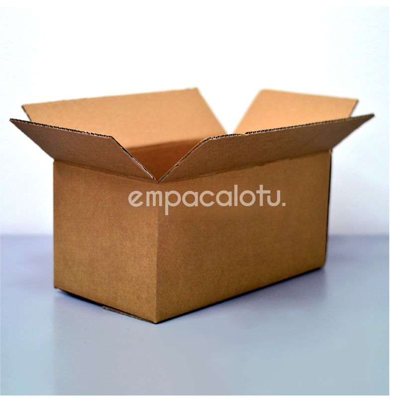 CAJA DE CARTÓN ESTÁNDAR REFORZADA | CON ALAS | 46 x 24 x 18 cm | KIT C/12 PIEZAS
