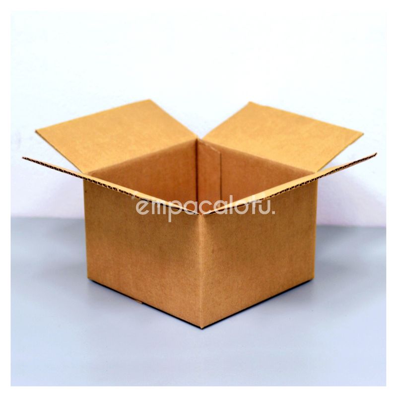 CAJA DE CARTÓN ESTÁNDAR | CON ALAS |19 x 19 x 12.6 cm | KIT C/12 PIEZAS