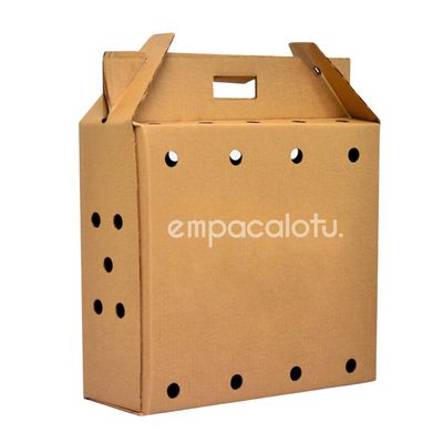 Kit 12 Cajas Maletín con Ventilación