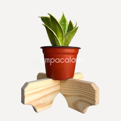 PORTAMACETAS TULIPÁN