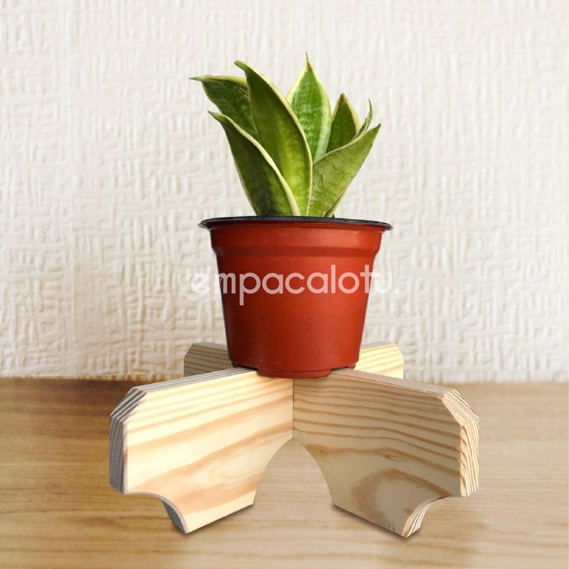 PORTAMACETAS TULIPÁN