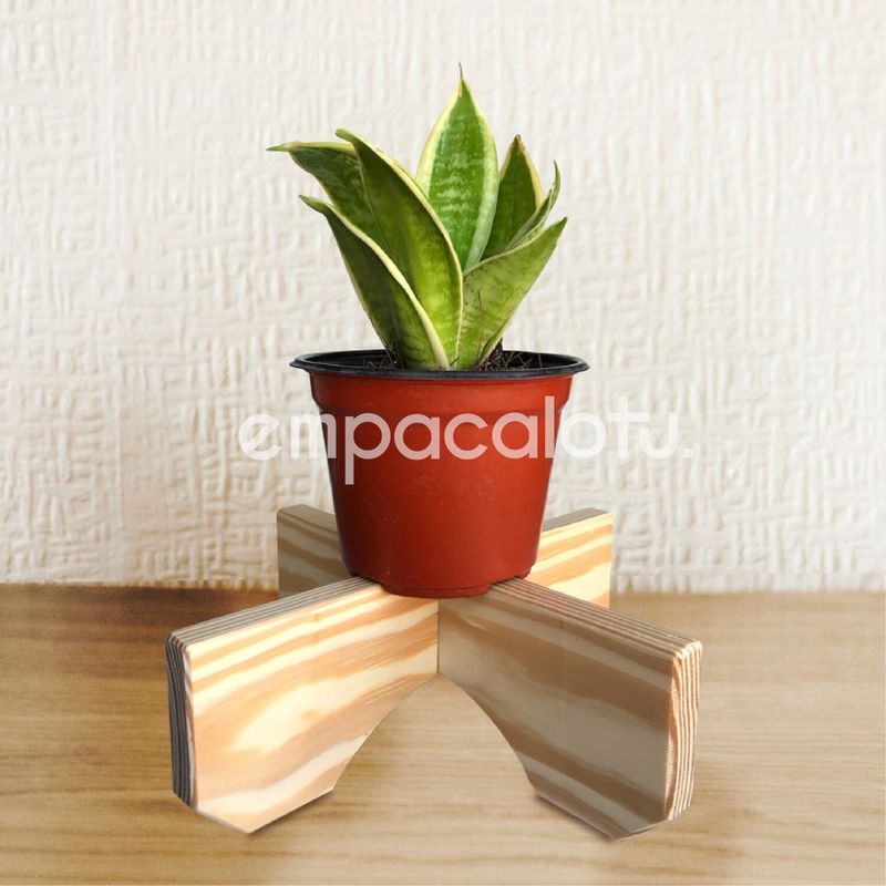 PORTAMACETAS CLAVEL