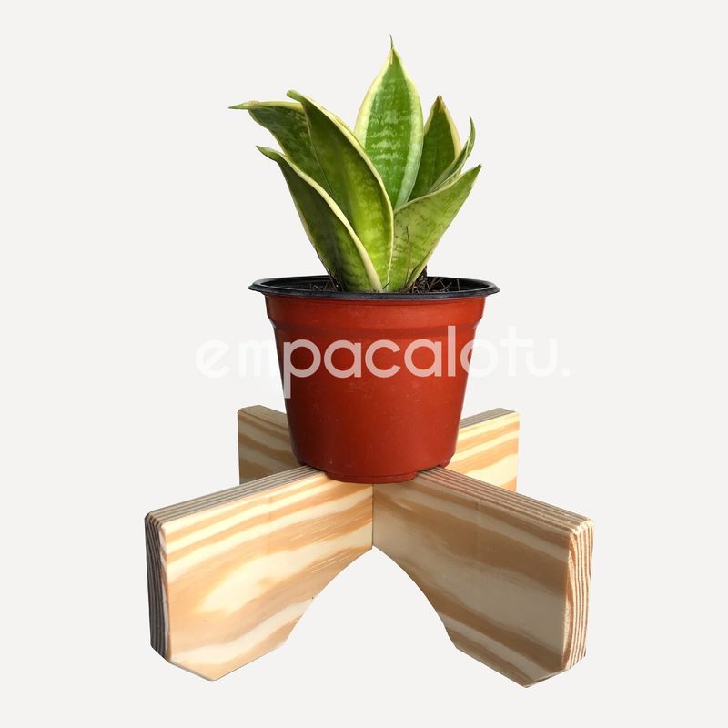 PORTAMACETAS CLAVEL
