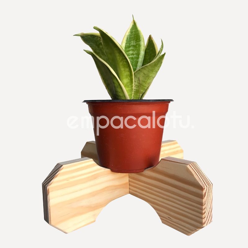 PORTAMACETAS ROSA